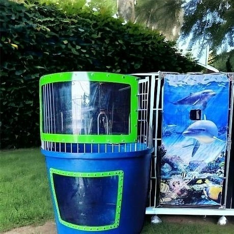 Dunk Tank with Dolphin Underwater Scenery